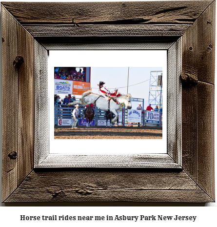 horse trail rides near me in Asbury Park, New Jersey